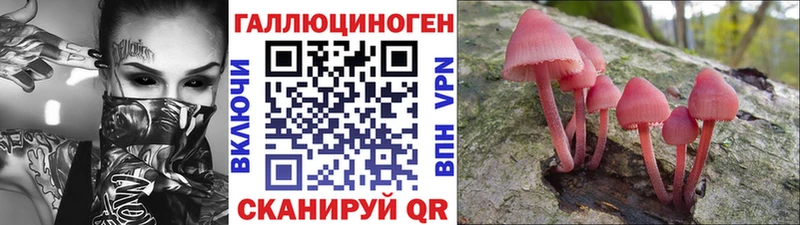 Псилоцибиновые грибы Cubensis где купить наркоту Валдай